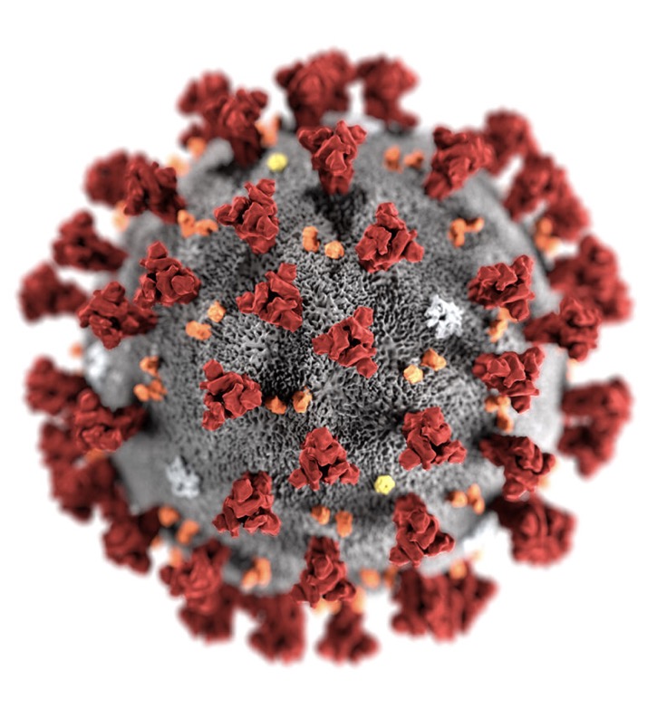 corona virus